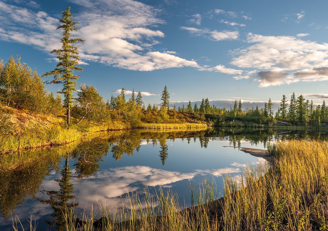 Ямало Ненецкий округ природа