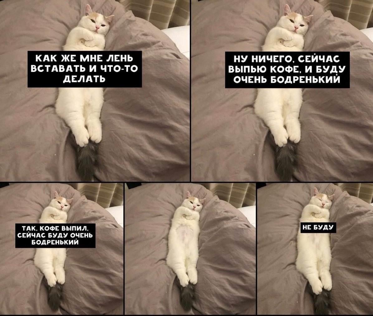 Я И кровать приколы