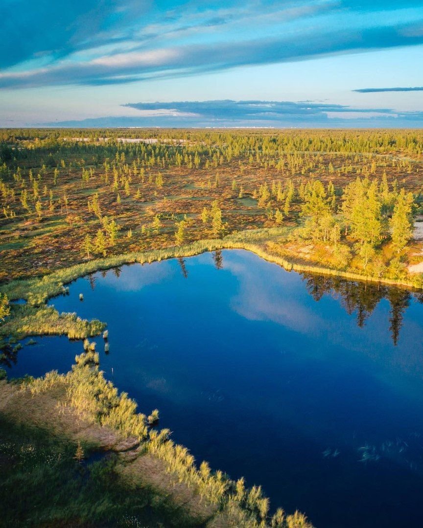 Тюменская область природа Тюмень природа