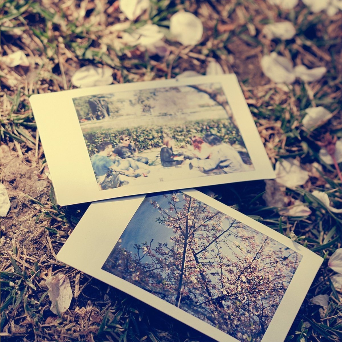 Красивые воспоминания