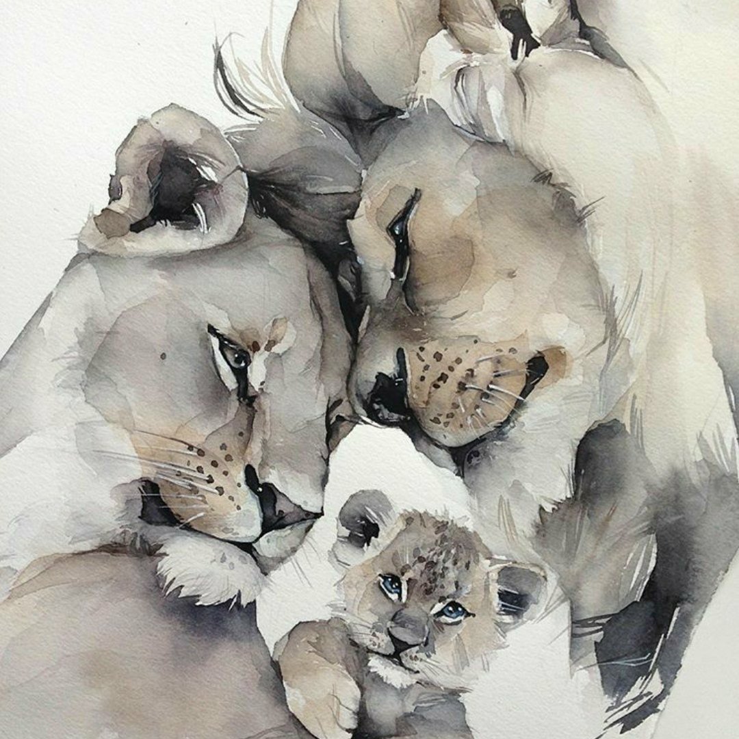 Наталья Каданцева акварель животные