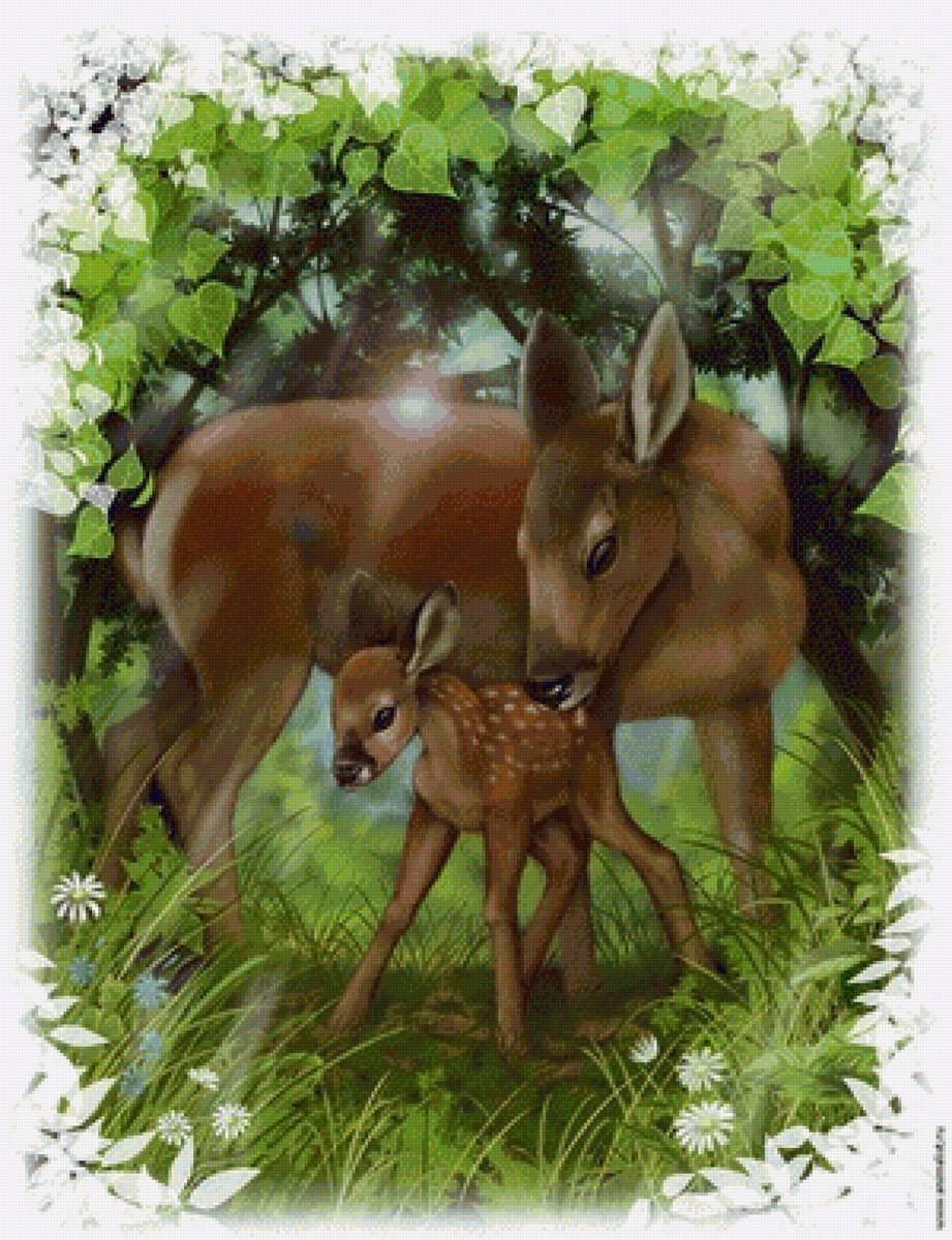 Животные рисунки