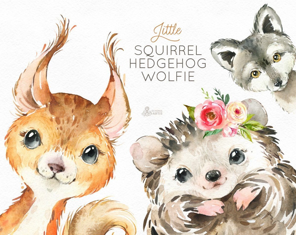 Милые зверюшки акварелью