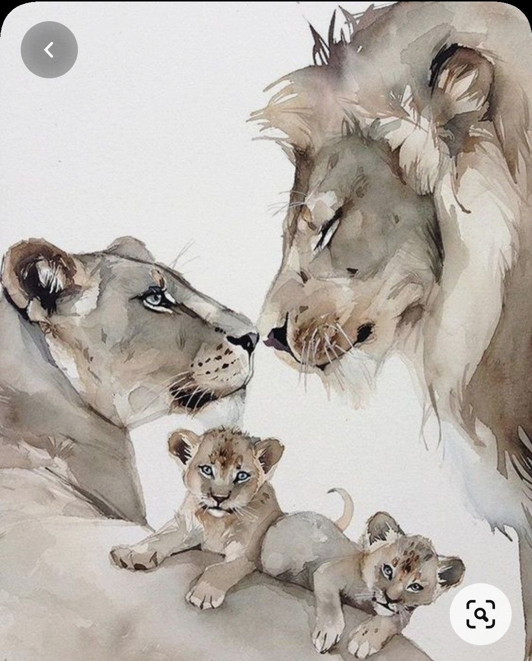 Наталья Каданцева акварель звери