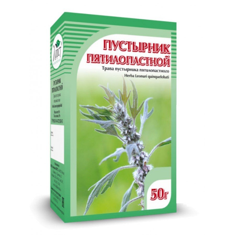 Пустырник мохнатый