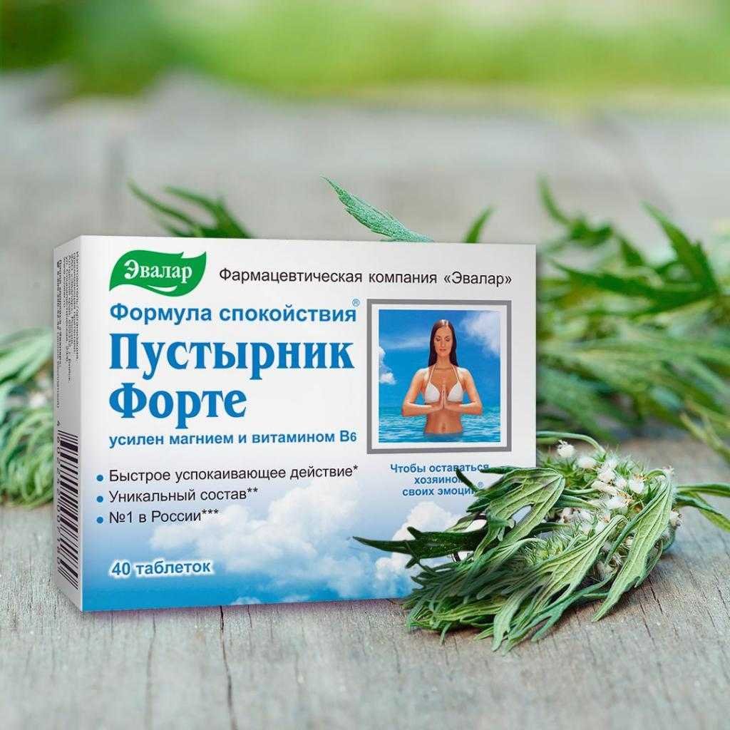 Пустырник картинка растения