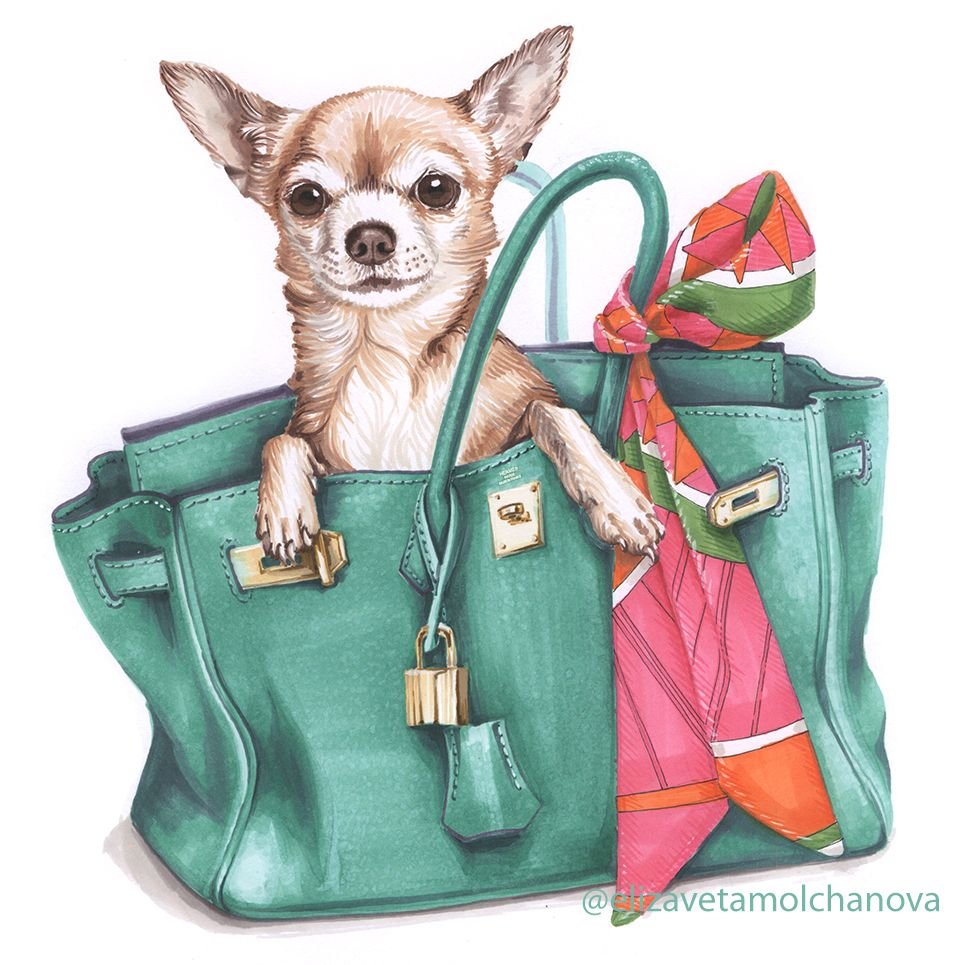 Кот путешественник с чемоданом