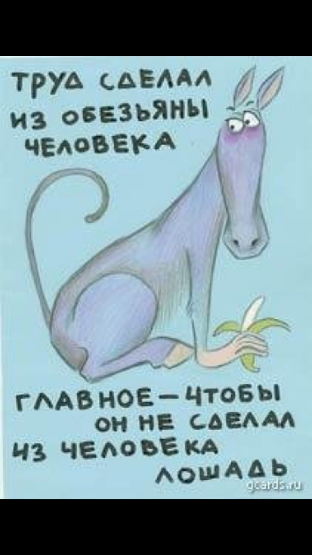 Поздравление с первым рабочим днем