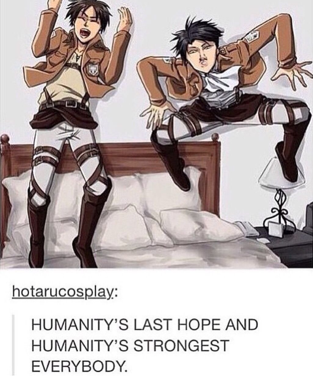 Атака титанов Ханджи Мем