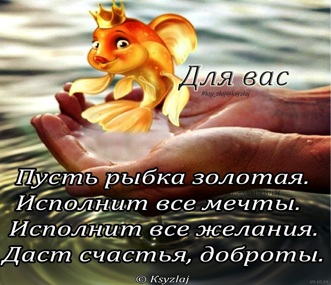 Золотая рыбка исполняет желания