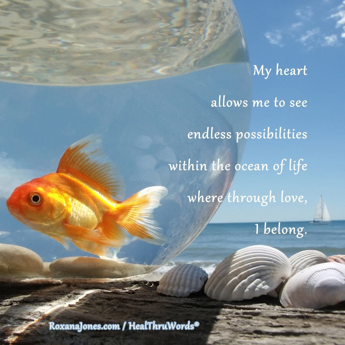 Золотая рыбка в море фото