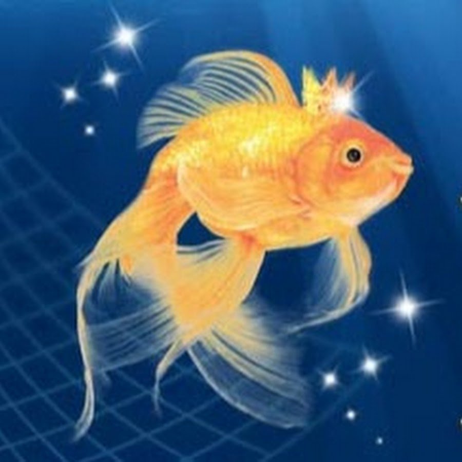 Золотая рыбка в море