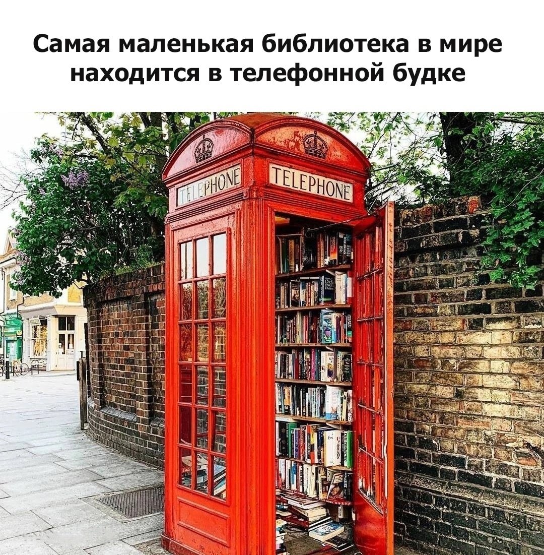 Самая маленькая библиотека в мире в Уэстбери саб Мэндип