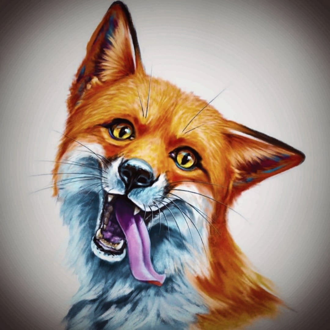 Лиса зевает