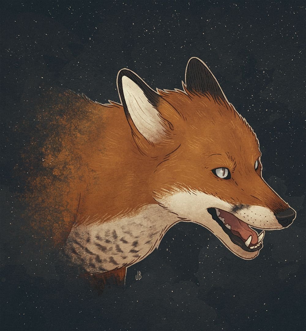 Фокс арт