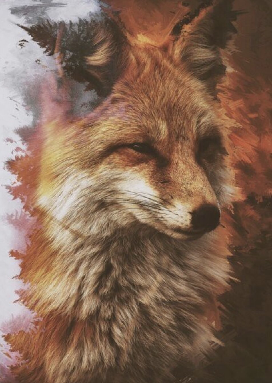 Лис Кинг Фокс