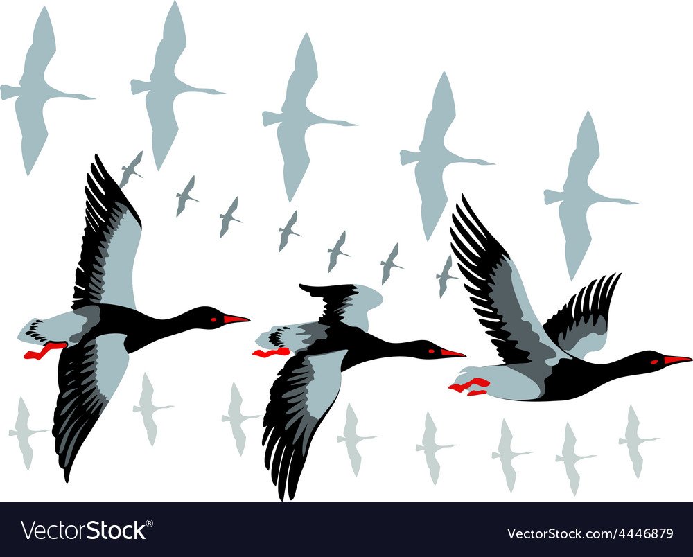 Птицы улетают на Юг вектор