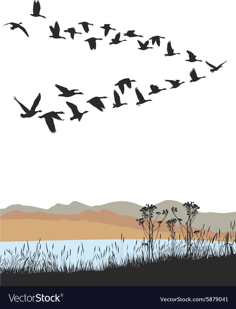 Рисуем птицы улетают на Юг