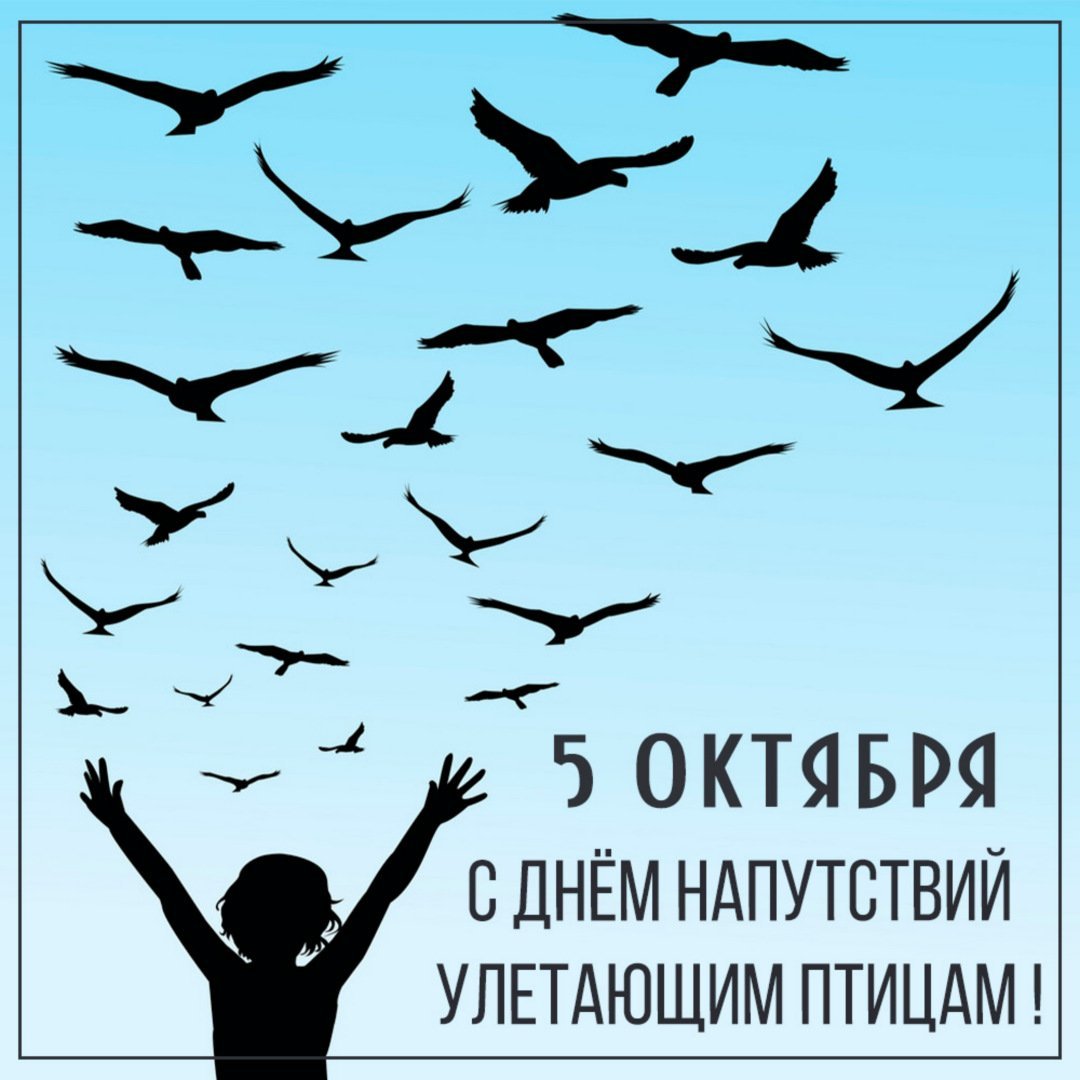 День напутствий улетающим птицам картинки