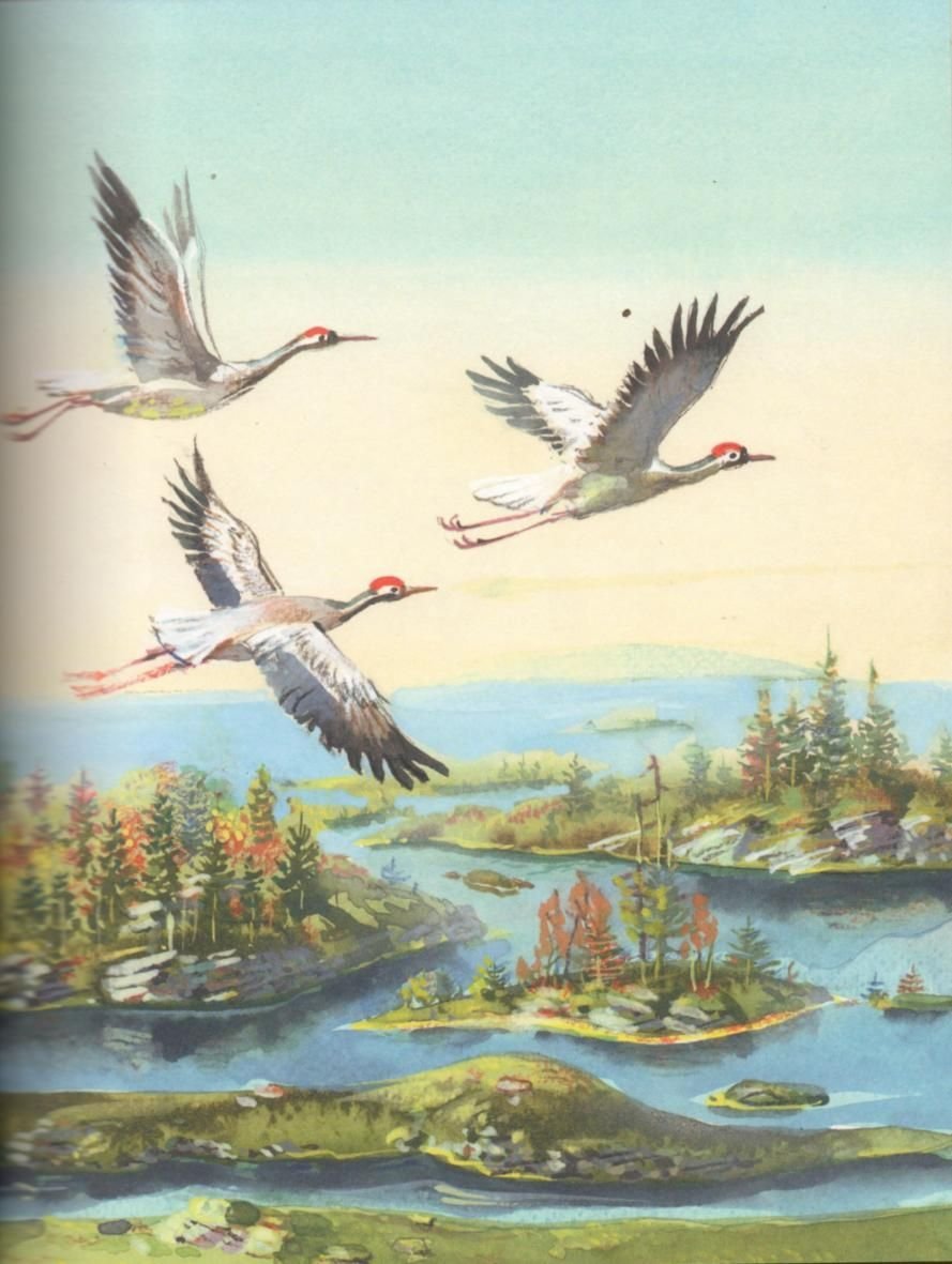 Картина Журавли летят