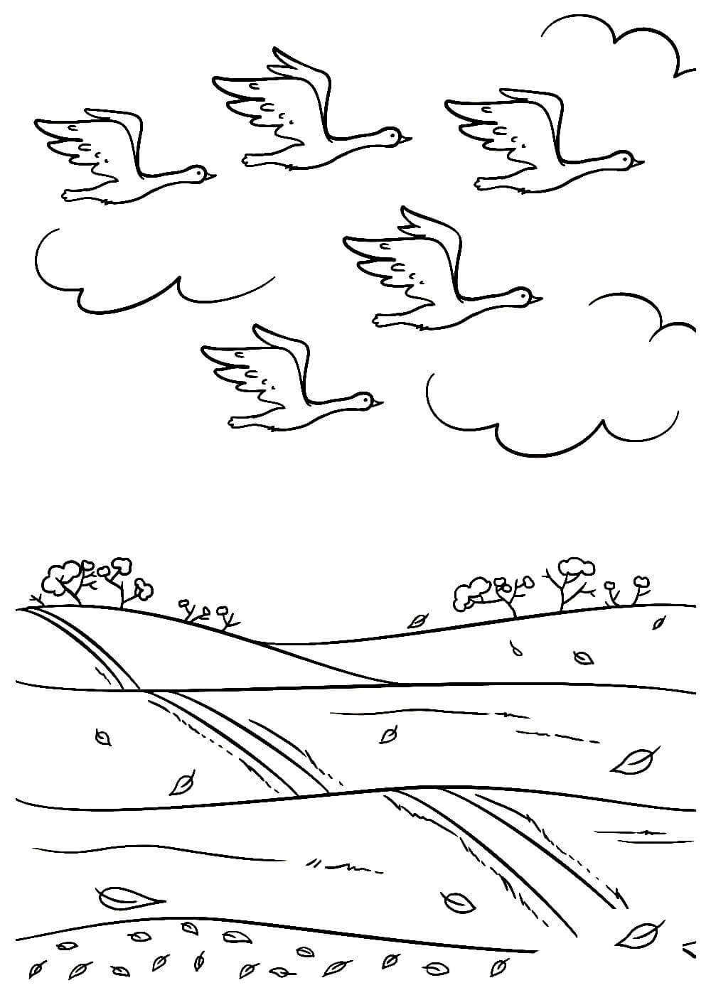 Раскраска птицы улетают на Юг