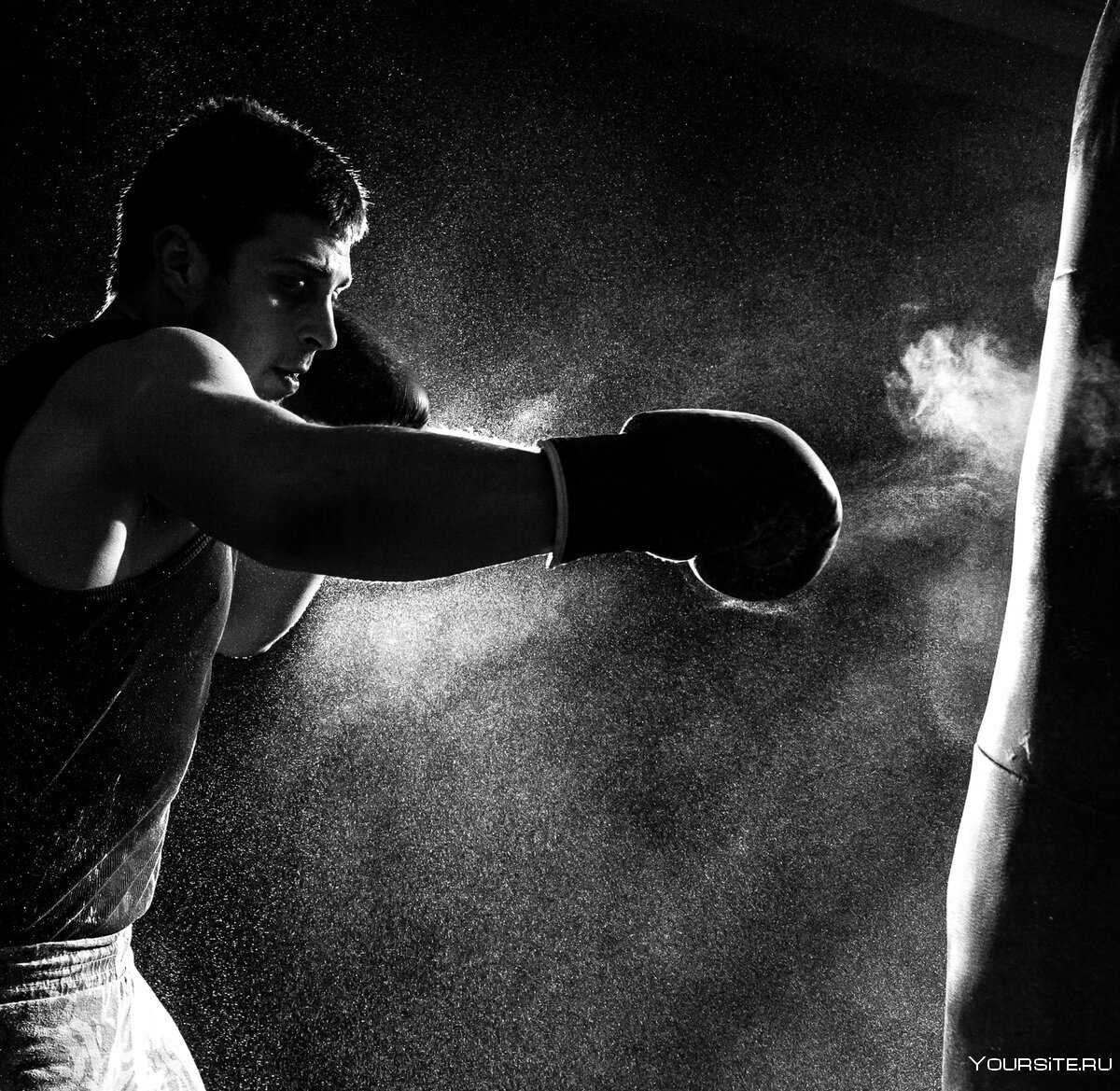 Анна Левина бокс