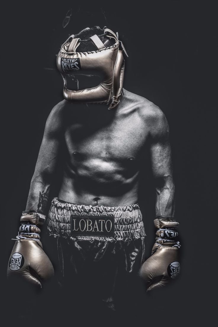 Бокс картинки