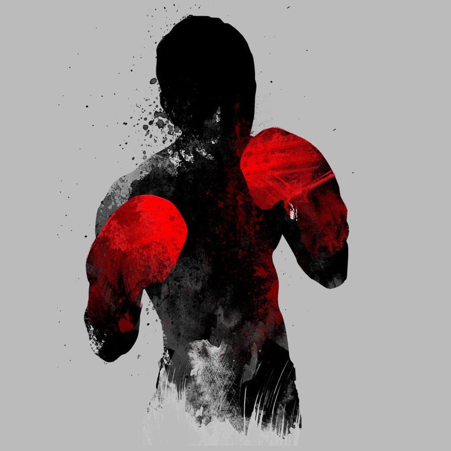 Красивые боксерские перчатки