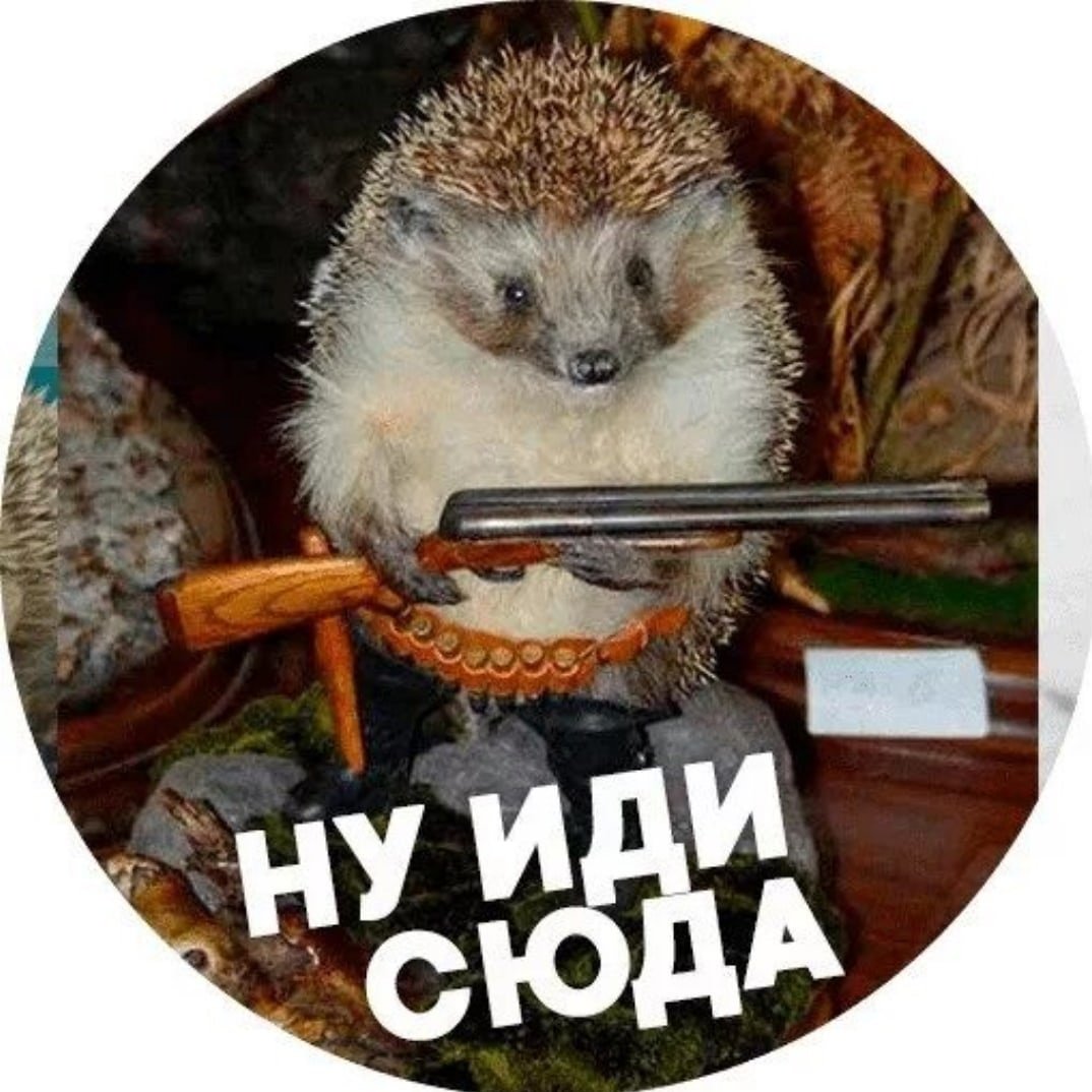 Шуба из ежа