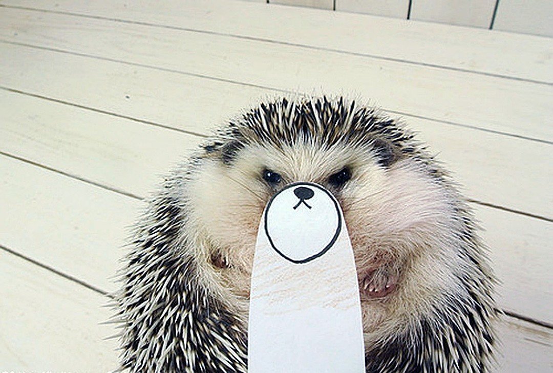 Коротко о работе стараюсь брать пример с муравья