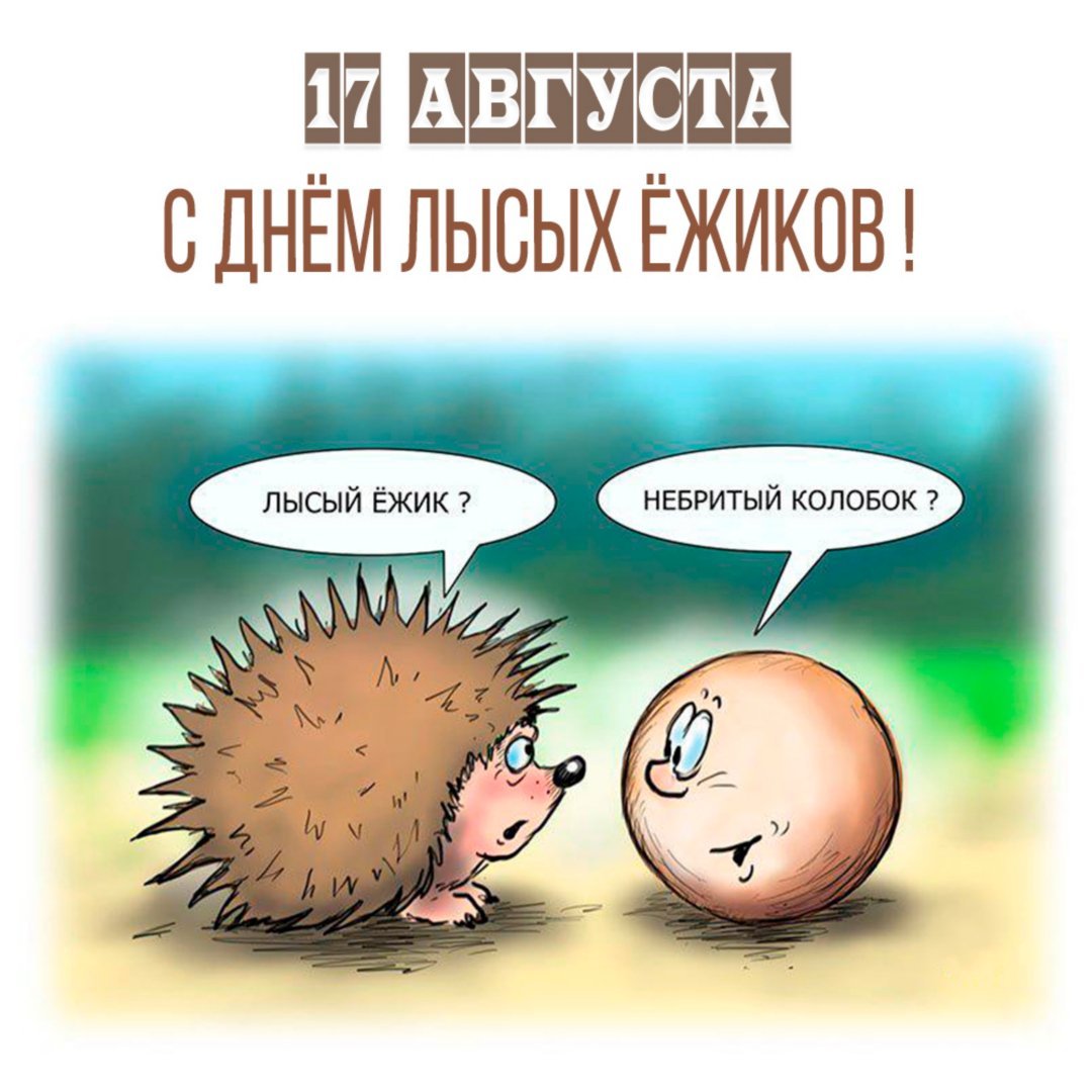 Злобный ежик картинки