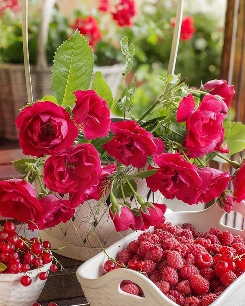 Пожелания с добрым воскресным утром