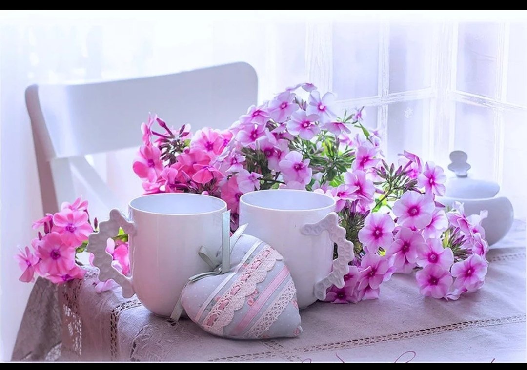 Доброго дня нежные цветы. Утренние цветы. Нежный цветок. Нежные открытки с добрым утром. Нежное утро.