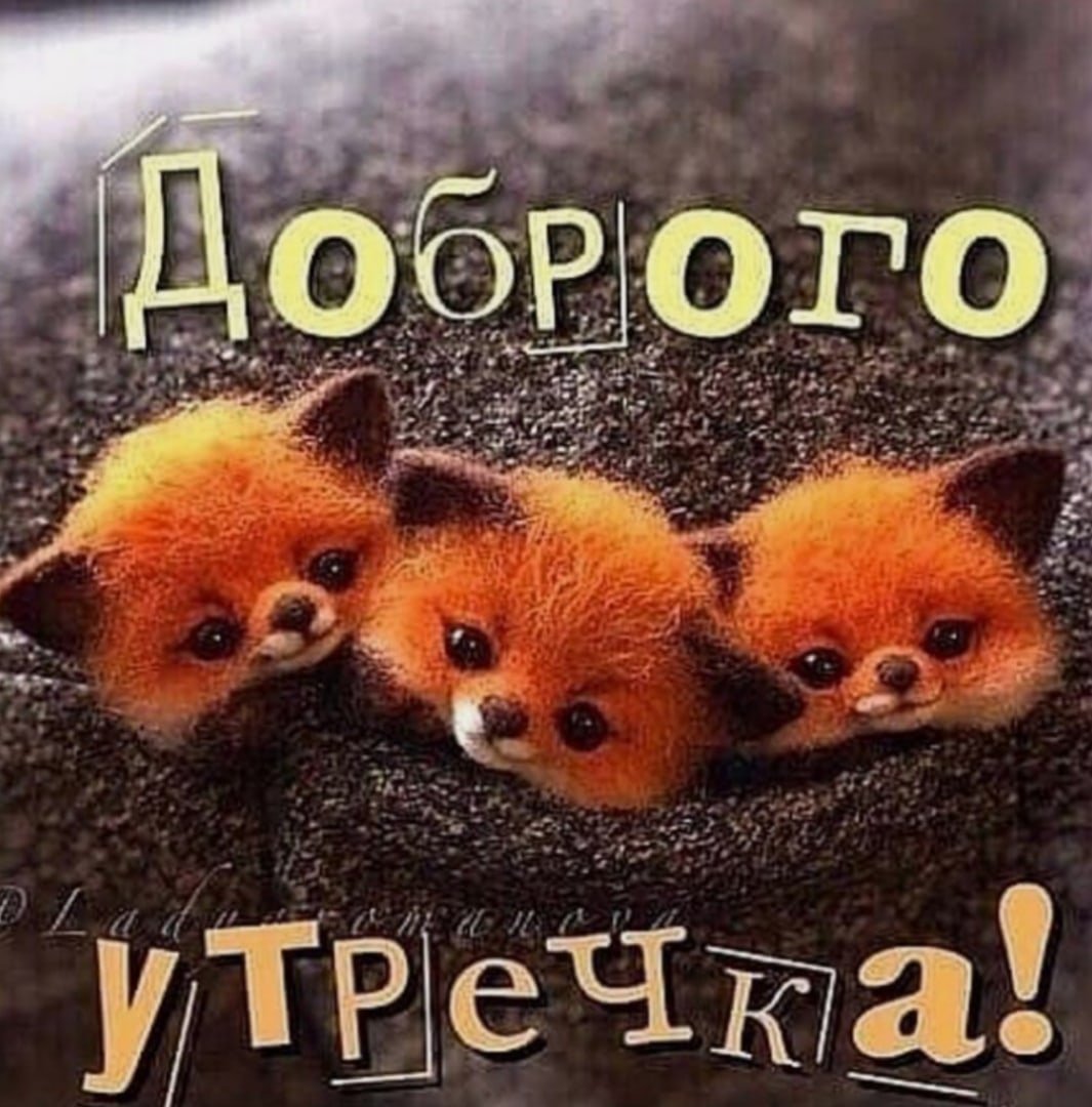 Добрый день мартышка