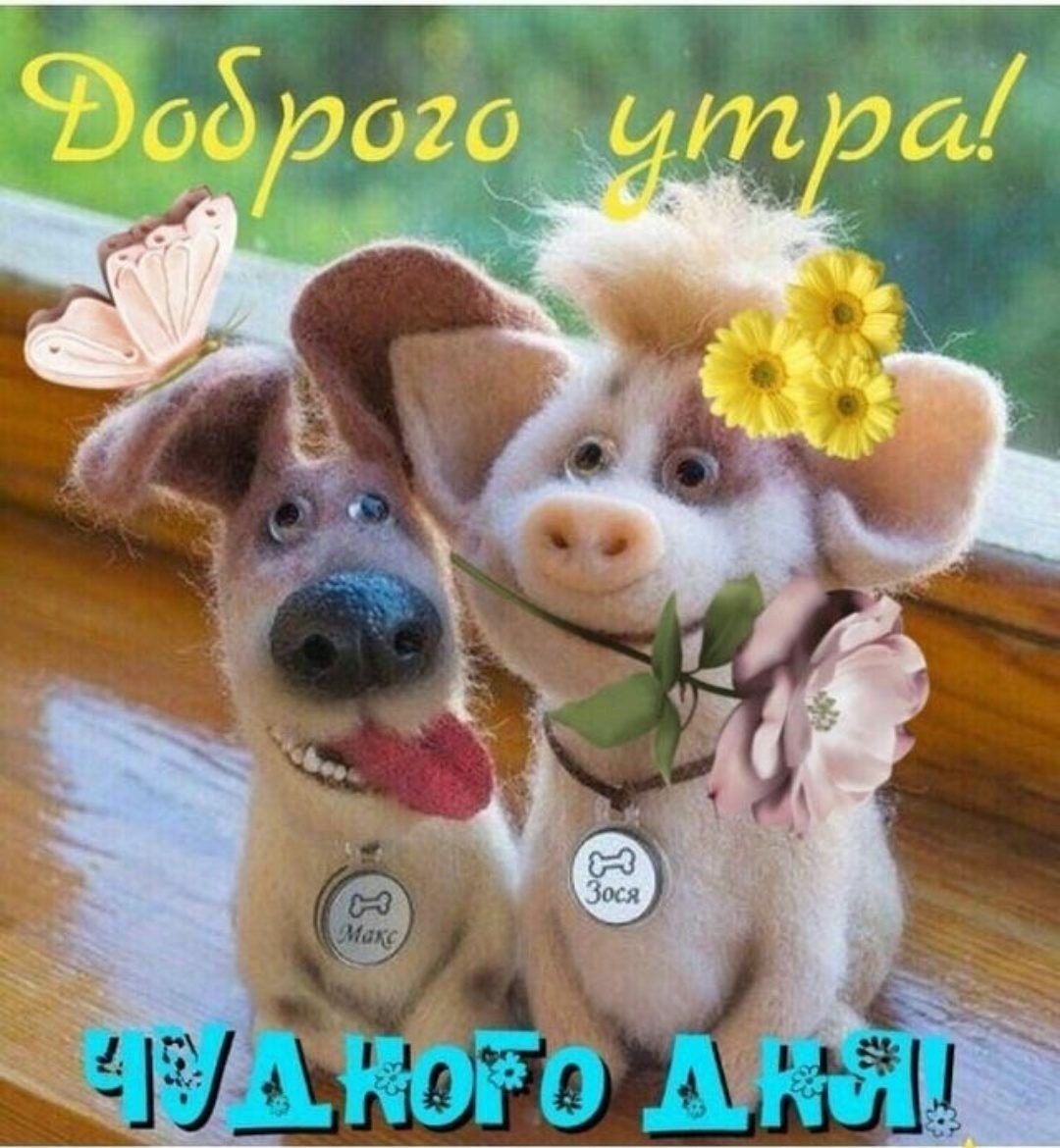 Очень мило открытка