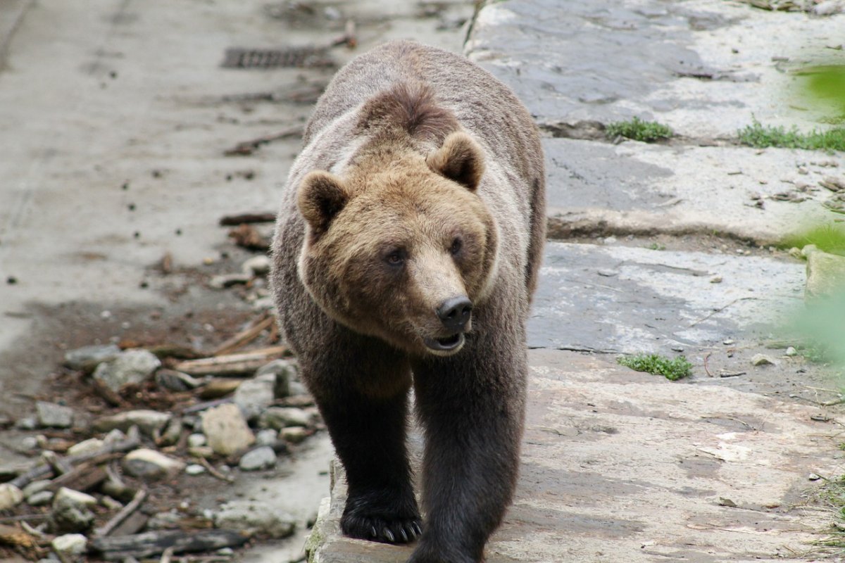 Государственный природный заповедник Юганский