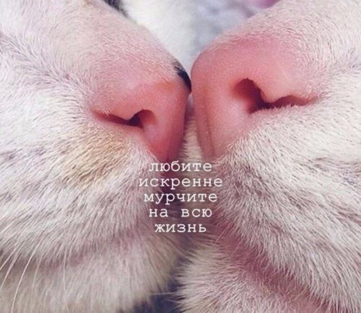 Настроение укутаться в плед