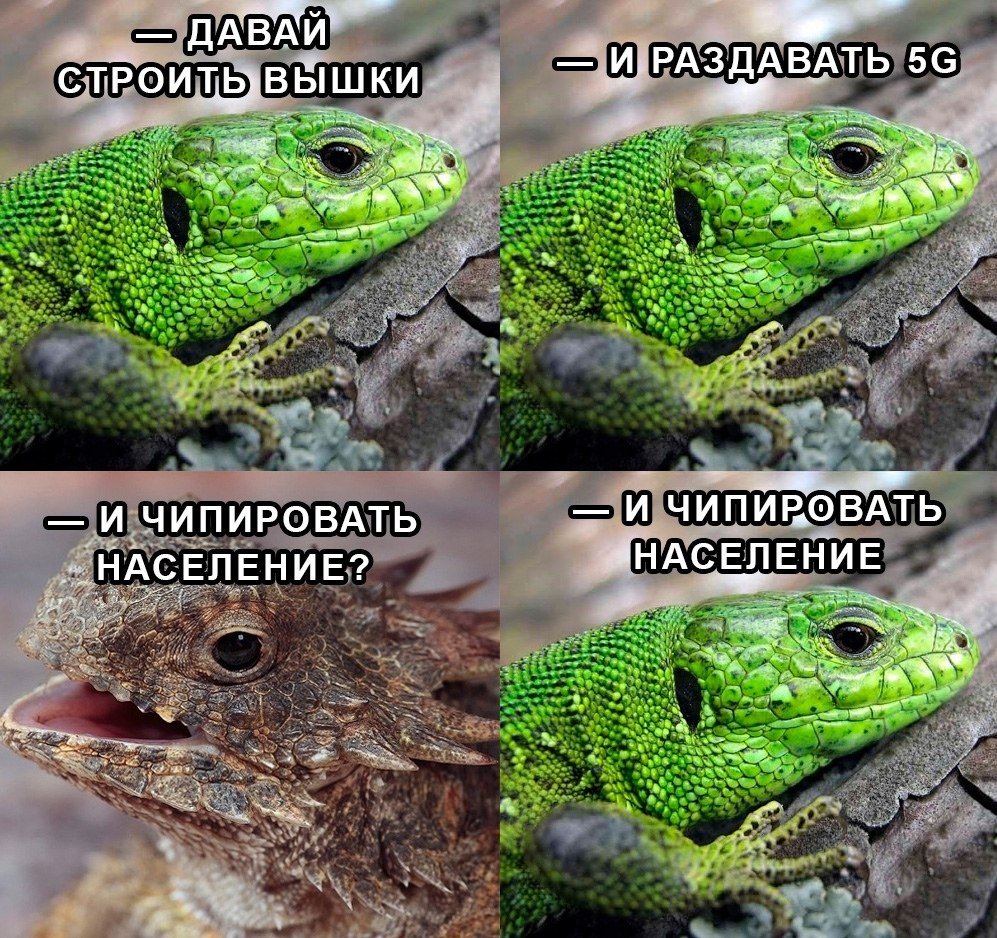 Рептилоиды приколы