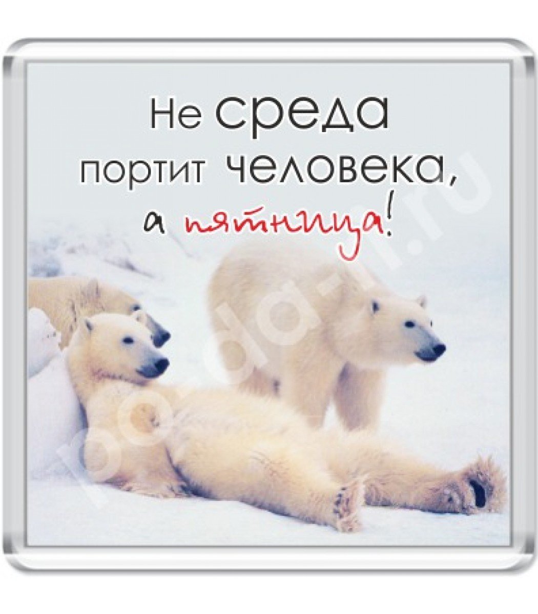 Смешные высказывания про среду