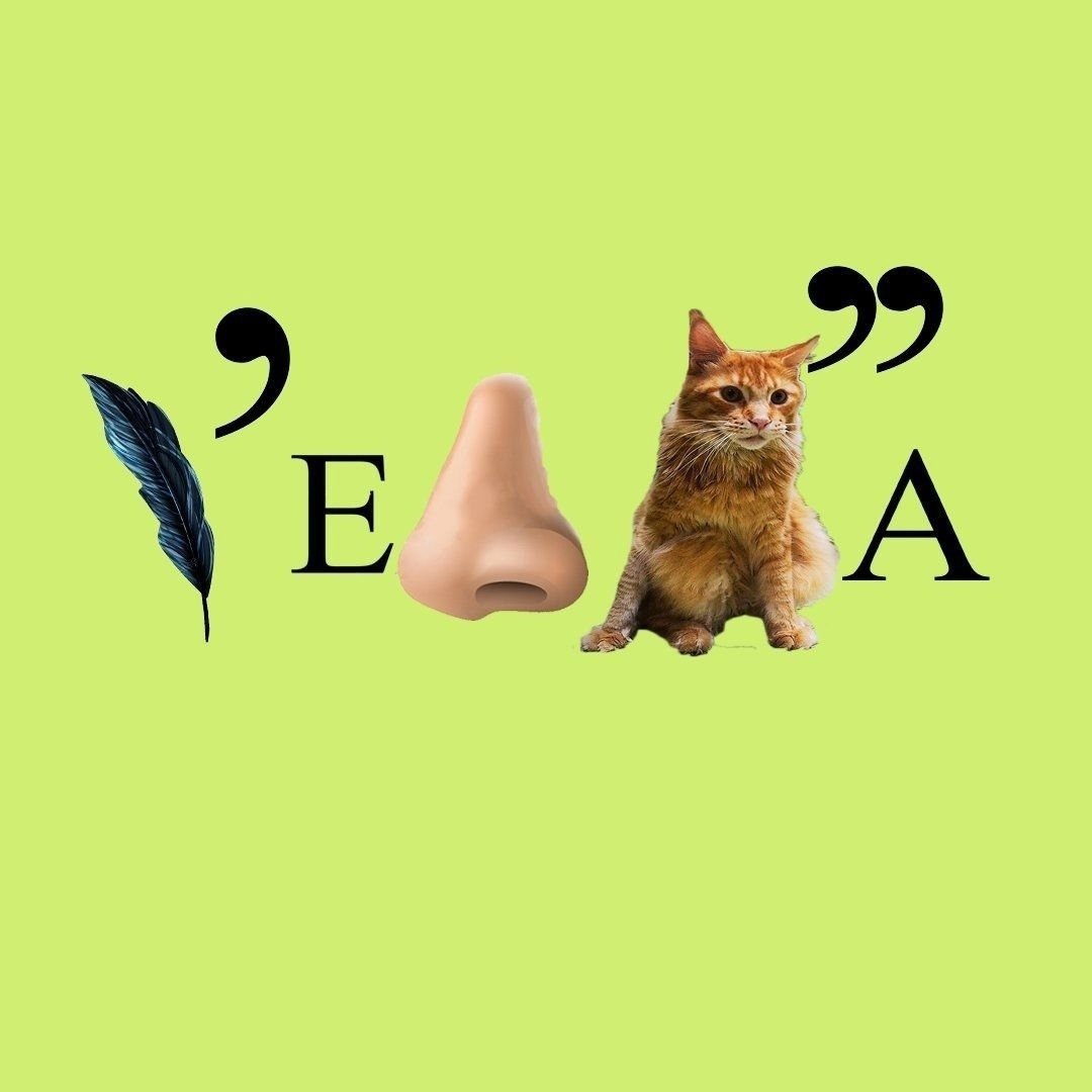 Yjdjujlybtзадания для дошкольников