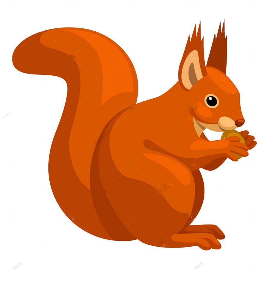 Белочка для детей на прозрачном фоне