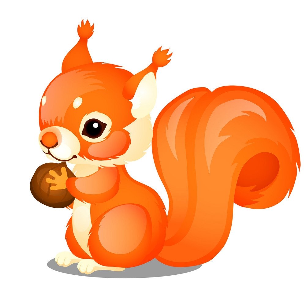 Белка рисунок