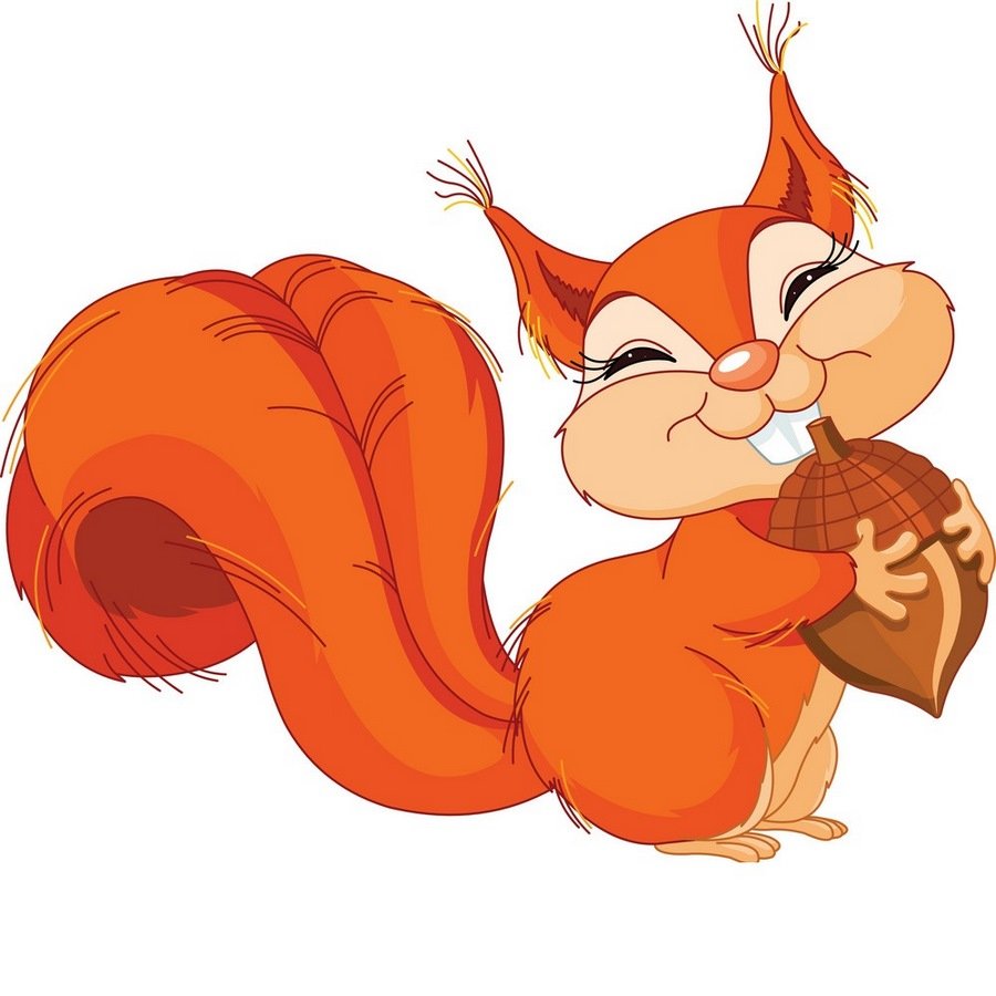 Белочка рисунок