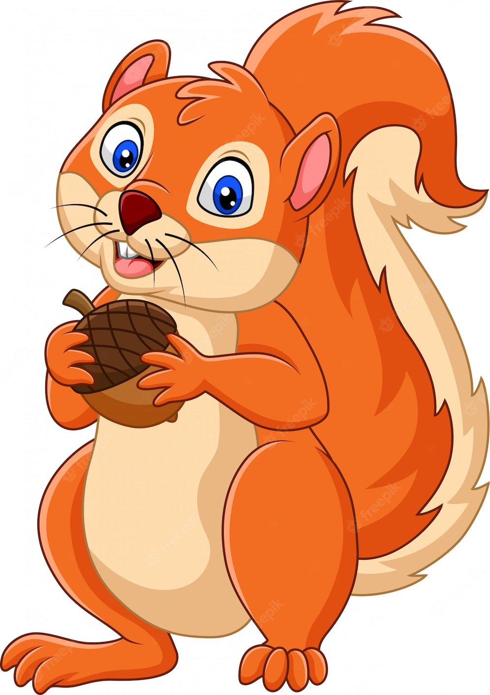 Белочка мульт