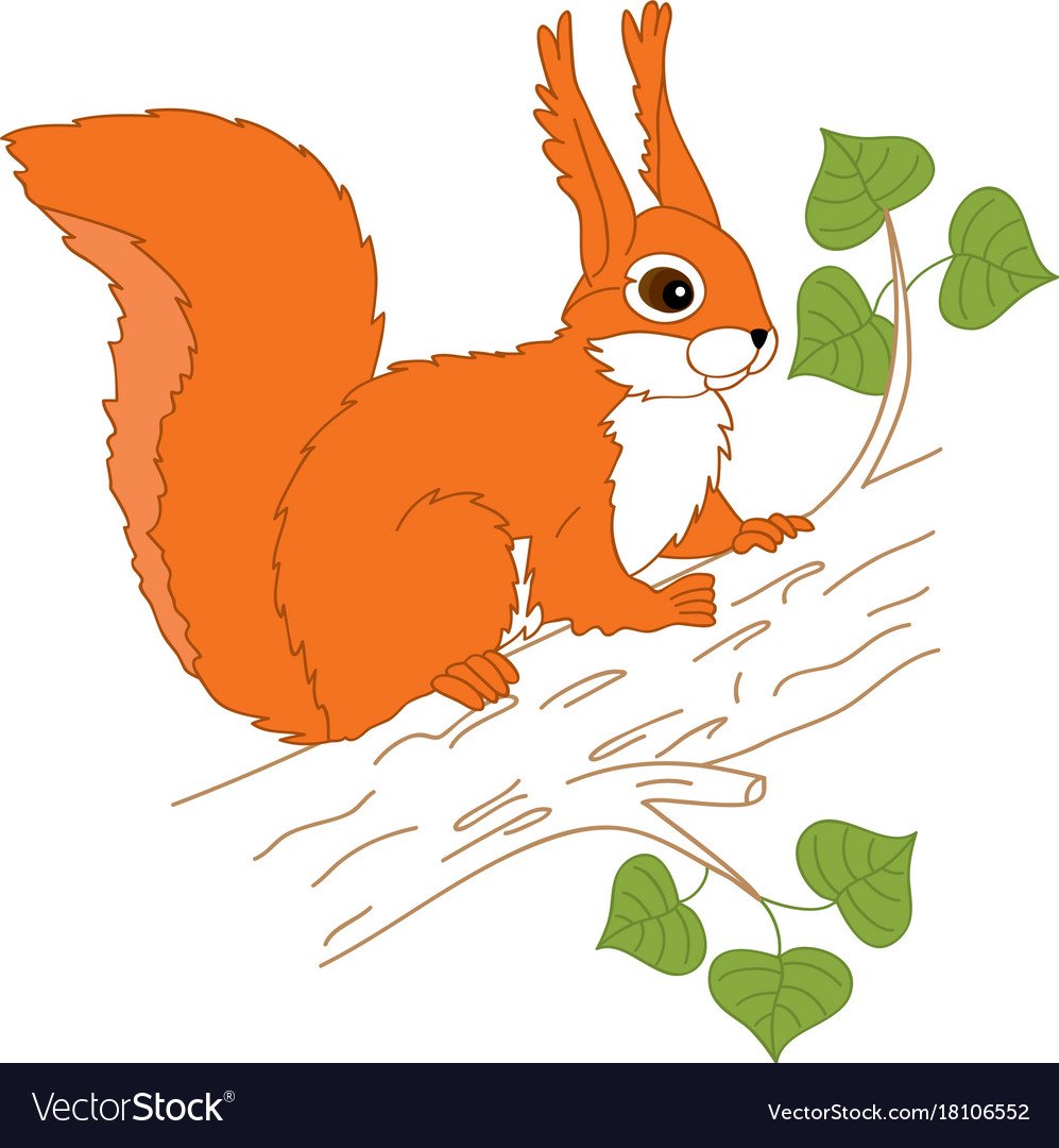 Трафарет белка на дереве