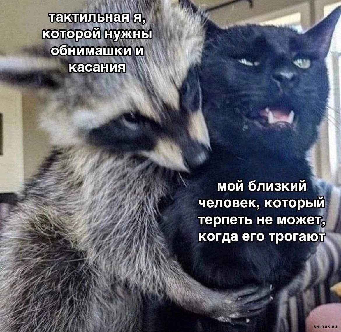 Стикеры Иван Васильевич