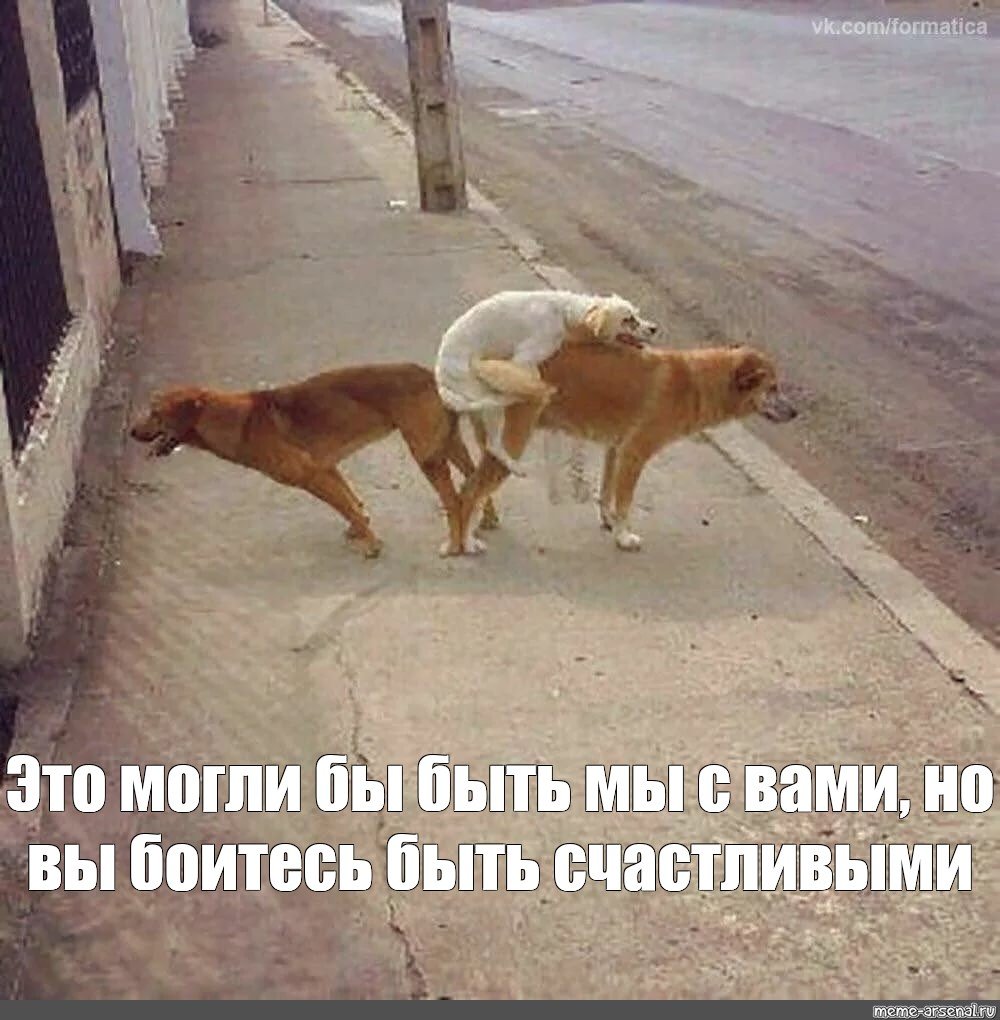 Мемы для стикеров