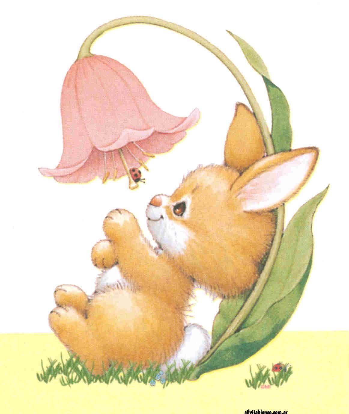 Ruth Morehead зайчик