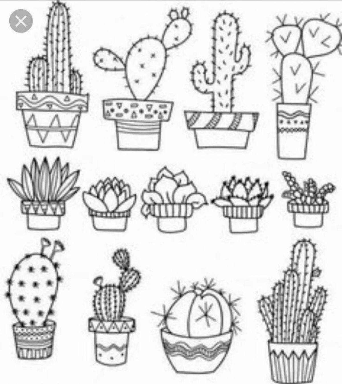 Кактус раскраска