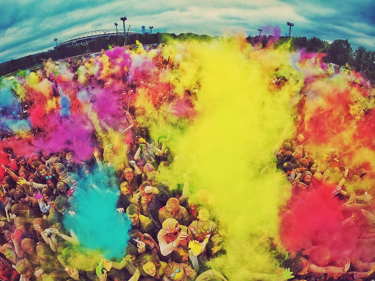 Яркие краски Холли